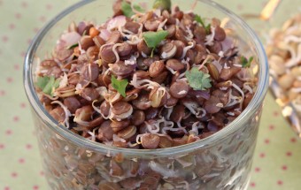 Sprouted Lentil Sundal Featured